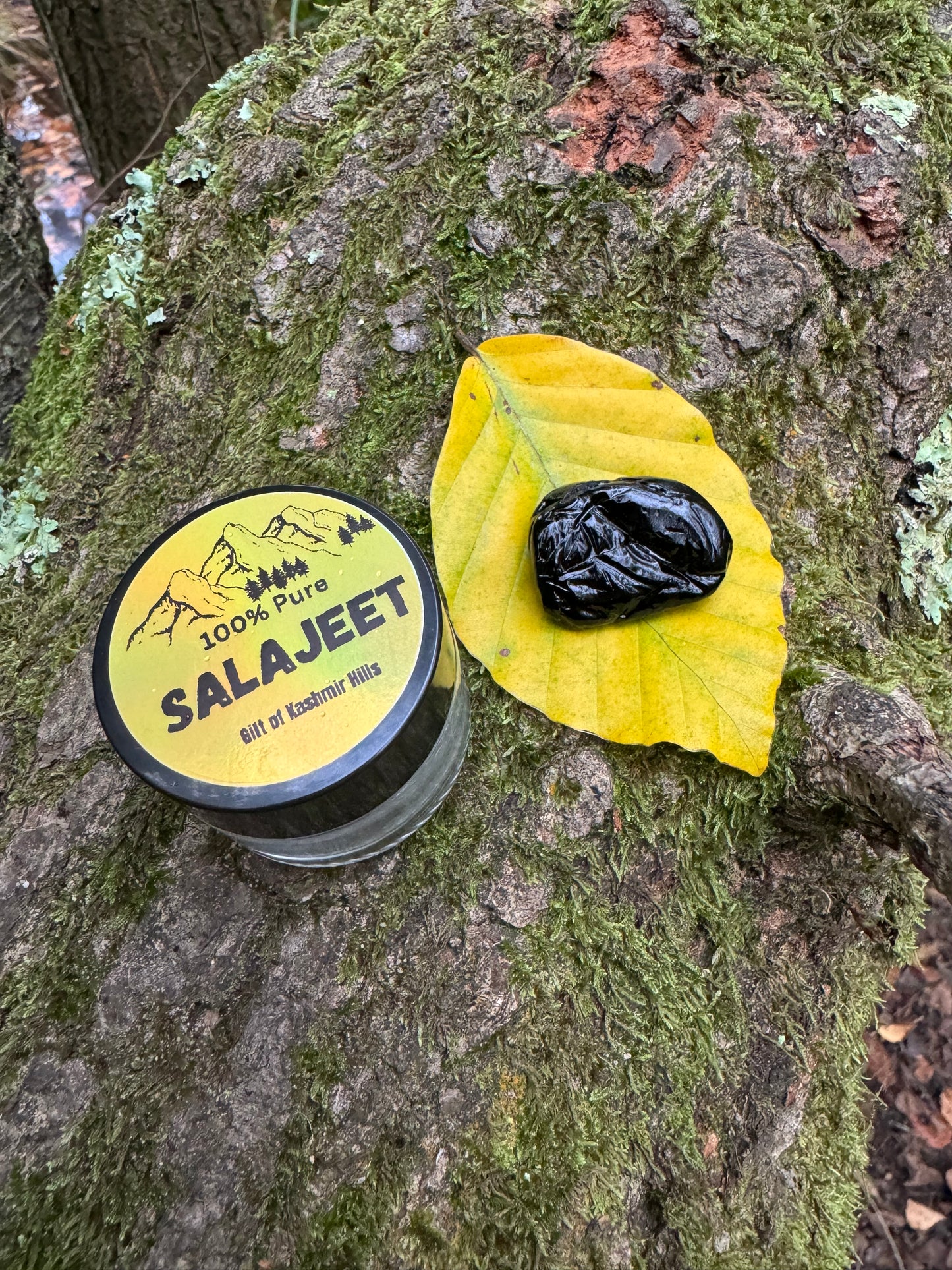 Salajeet (Shilajit) -100% Pure Mineral Resin (Premium Quality) 15g