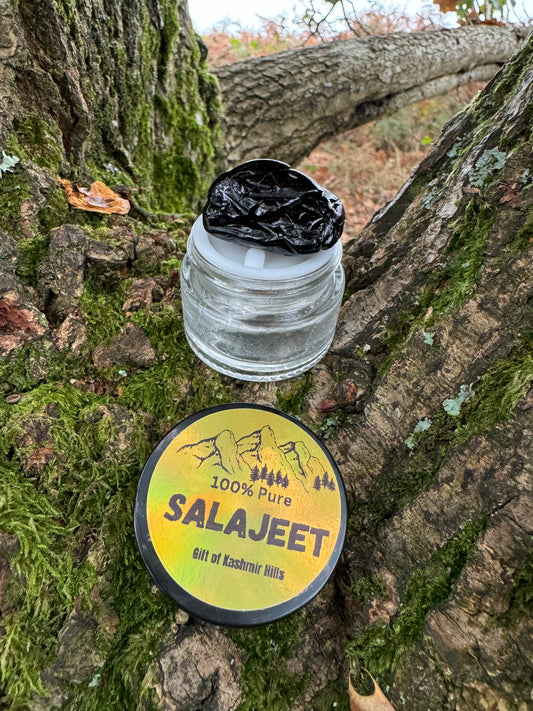 Salajeet (Shilajit) -100% Pure Mineral Resin (Premium Quality) 15g