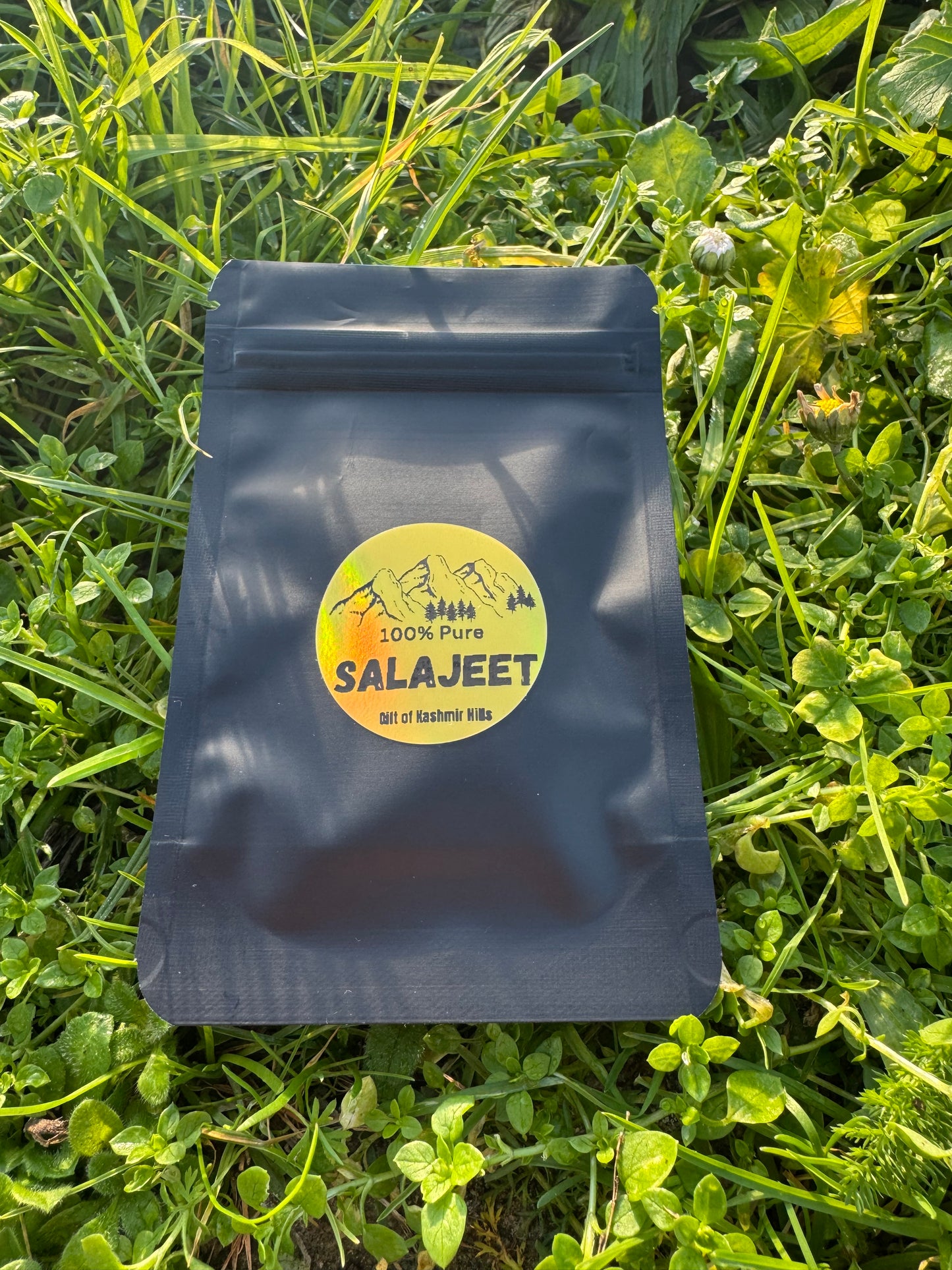 Salajeet (Shilajit) -100% Pure Mineral Resin (Premium Quality) 10g